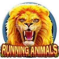 RunningAnimals